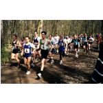 Kreiswaldlaufmeisterschaften 2000 in Schweinfurt: Nach dem Start des Hauptlaufes