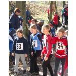 Kreis-Waldlaufmeisterschaften 2003: Start der Schlerinnen W9 und jnger