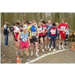 Kreis-Waldlaufmeisterschaften 2004: ?